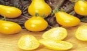 Yellow Pear Domates Fidesi 10 adet
