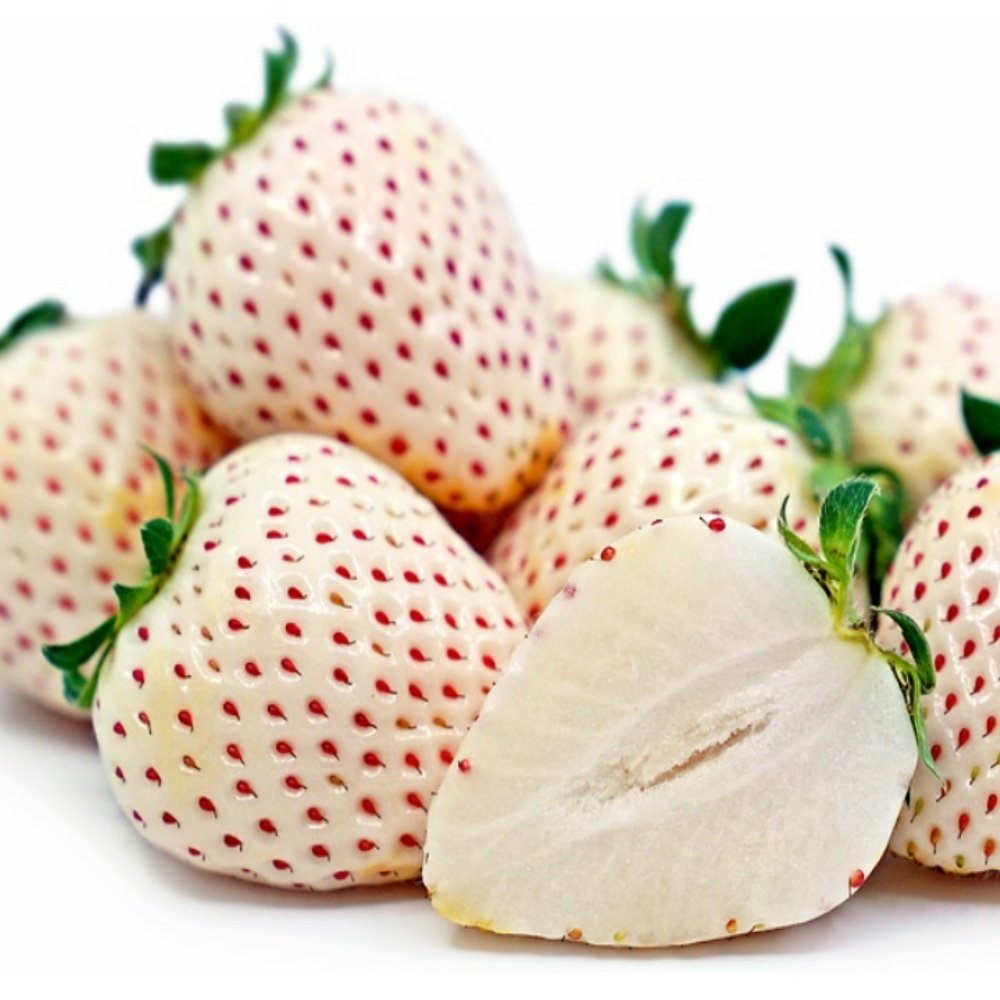 Yediveren Kokulu Beyaz Çilek Pineberry (5 adet )