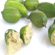 Tüplü Finger Lime Fidanı Meyve Verme Durumunda