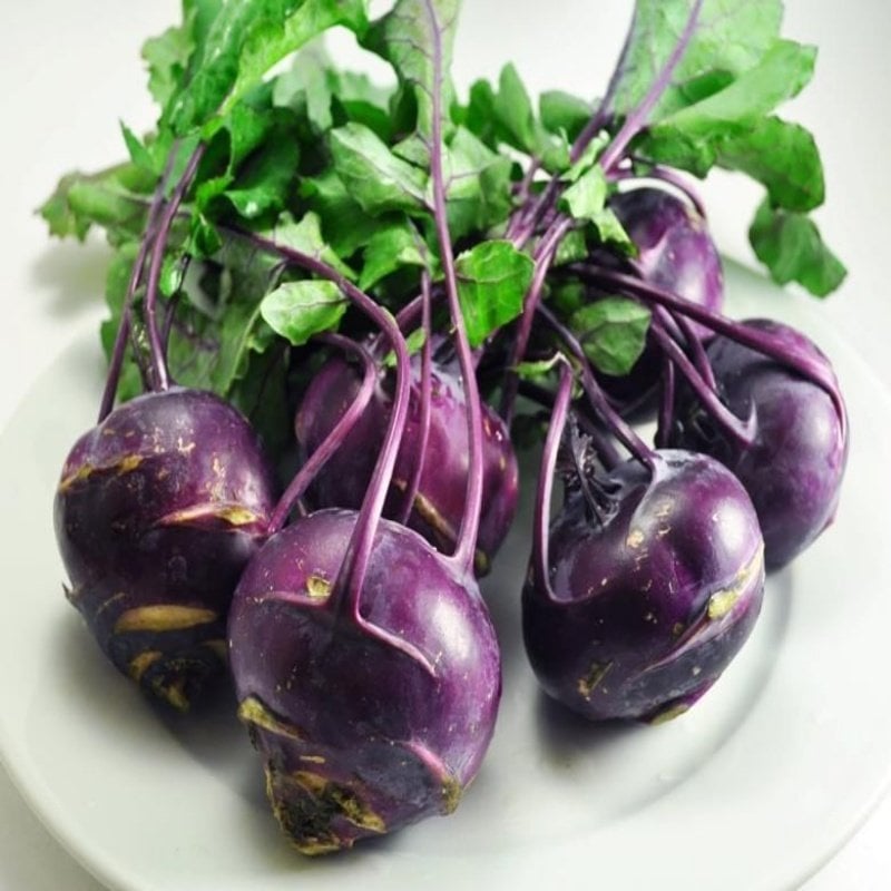 Doğal Mor Kohlrabi(Alabaş) Tohumu  (20 Tohum)