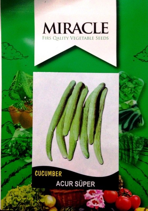 Miracle Süper Acar Acur Tohumu (10 gram)