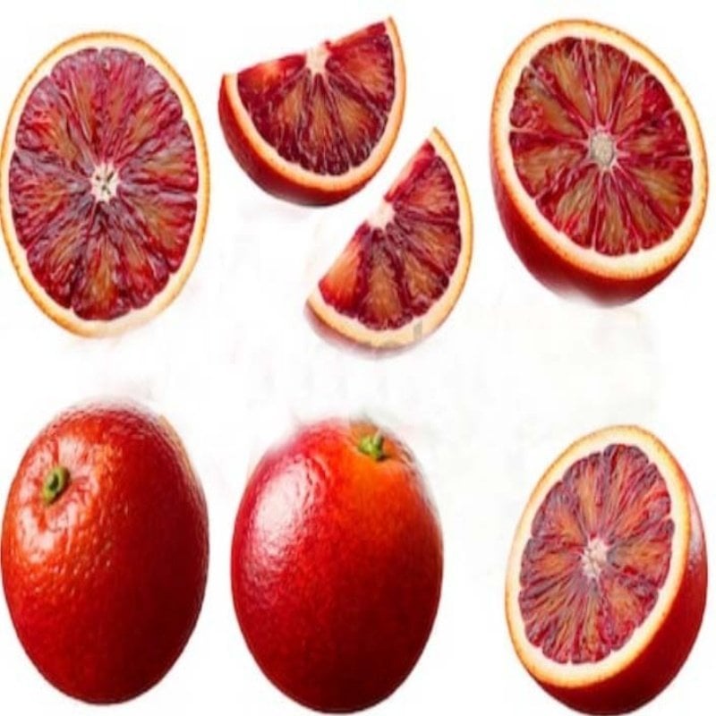 Bodur Tipte Yemesi Mükemmel İçi Dışı Kırmızı Blood Orange Kan Portakalı Fidanı (Sınırlı Stok)