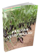 Patlıcan Yetiştiriciliği Kitabı