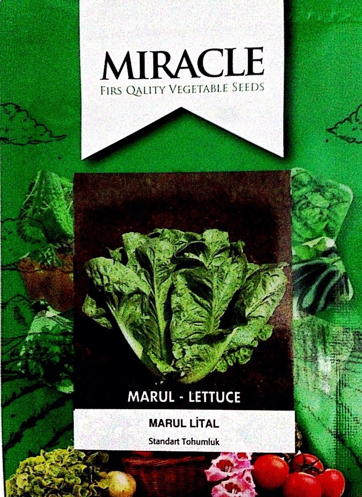 Miracle Gevrek Lital Marul Tohumu (10 gram)