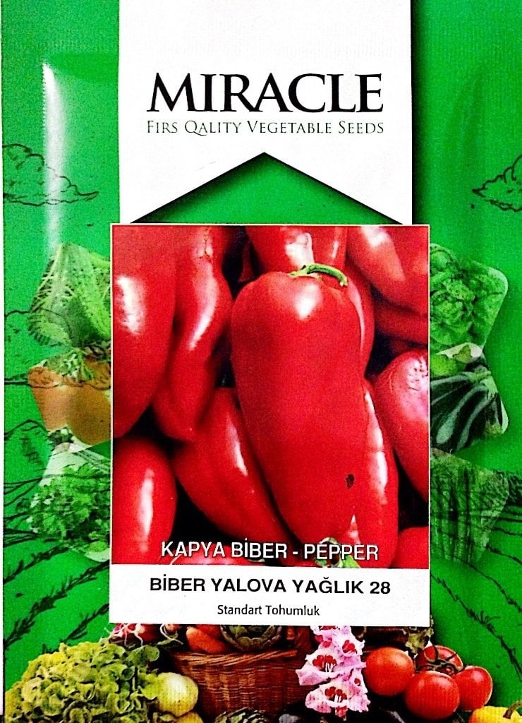Miracle Etli Yalova Kapya Biber Tohumu (10 gram)