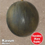 Miracle Karabey Siyah Kışlık Kavun Tohumu (10 gram)