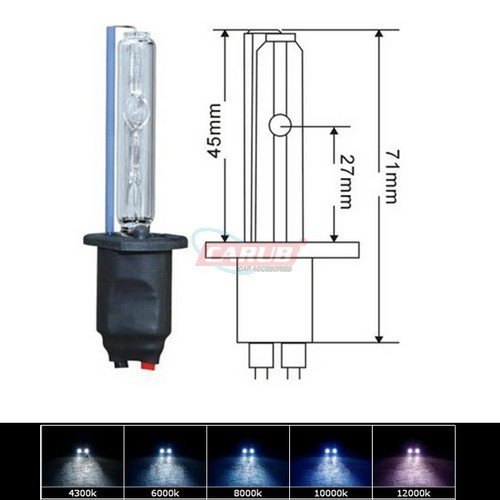 XENON Ampul H1 10000K 12/24v