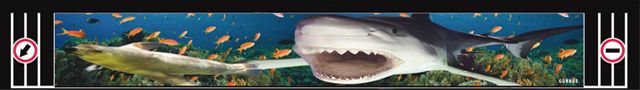 Tampon Altı Paspas (Gürbüz) Köpek Balığı İmajlı 35x240 cm