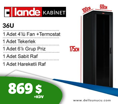 36U 600x1000x1787mm Lande DYNAmic Dikili Tip Rack Server Kabinet (DSDM3661)