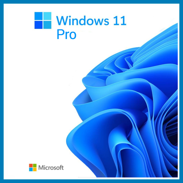 MICROSOFT WINDOWS 11 PRO 64BIT TURKCE OEM FQC-10556