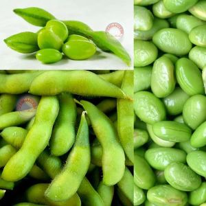 Edamame fasulye tohumu Besweet