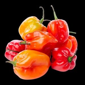 Habanero biberi tohumu mix renkli karışım acı