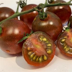 Kahve Üzüm çeri domates tohumu sırık tip brown berry