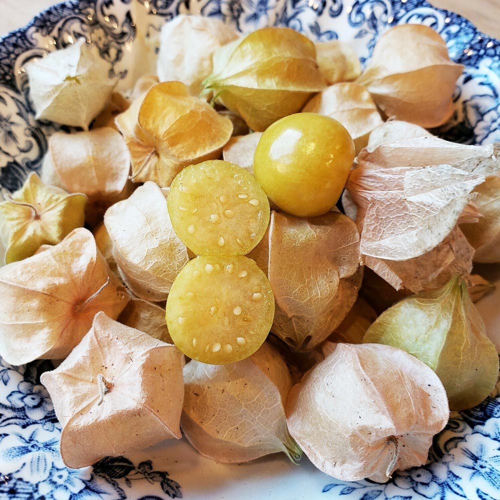 Ananas tomatillo altın çilek tohumu physalis ixocarpa