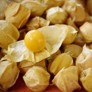 Ananas tomatillo altın çilek tohumu physalis ixocarpa