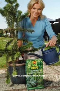 Compo iğne yapraklı ağaç gübresi 1 kg. 6 ay etkili