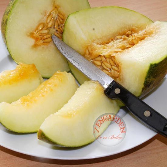 İspanyol kışlık kavun tohumu geleneksel piel de sapo melon