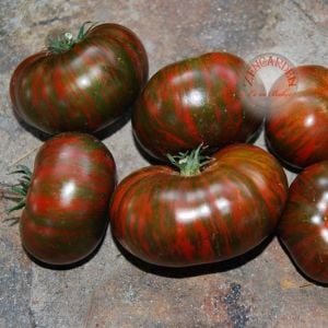 Çikolata domates tohumu geleneksel chocolate stripes tomato