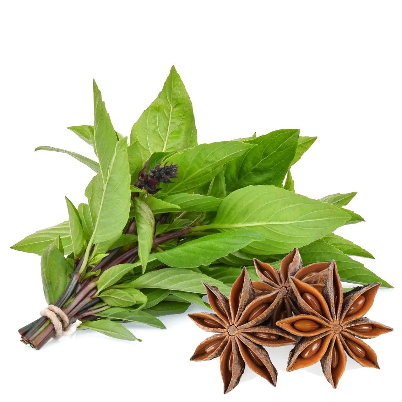 Acem fesleğeni tohumu anoson aromalı anise basil