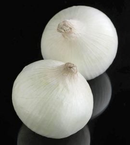 Soğan tohumu ispanyol tatlı beyaz baş soğan allium cepa seeds