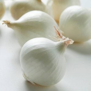 Soğan tohumu ispanyol tatlı beyaz baş soğan allium cepa seeds