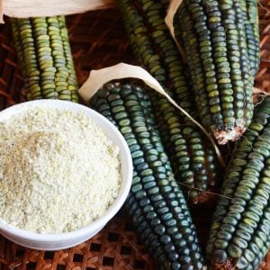 Oaxacan green Atalık mısır tohumu zümrüt yeşil