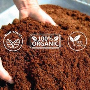 Cocopeat 5 litre kullanıma hazır hindistan cevizi torfu