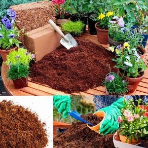 Cocopeat 5 litre kullanıma hazır hindistan cevizi torfu