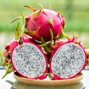 Beyaz ejder meyvesi tohumu pitaya hylocereus triangularis kokulu