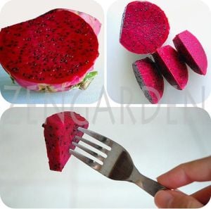 Pitaya tohumu kokulu ejder meyvesi kırmızı