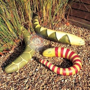 Yılan sukabağı tohumu snake gourd