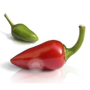 Mini kırmızı acı biber tohumu mini red hot chili pepper seeds