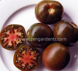 Rus karası siyah domates tohumu black russian geleneksel tohum