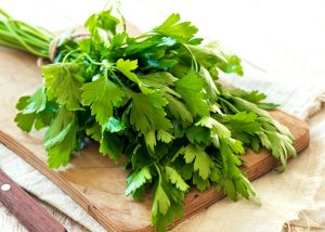 Geniş yapraklı italyan maydanoz tohumu atalık italian giant parsley