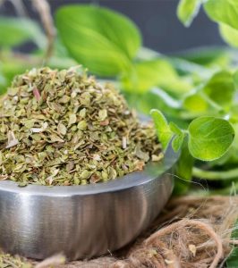 İtalyan geniş yapraklı kekik tohumu italian oregano