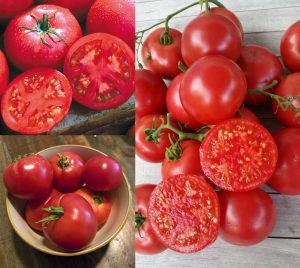 Karaorman domates tohumu geleneksel eva purple ball tomato
