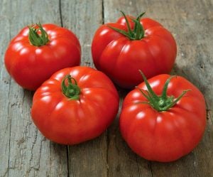 Marsilya çiftlik domates tohumu geleneksel heirloom marseille heirloom beef tomato seeds