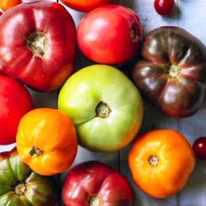 Atalık iri domatesler Zen karışımı domates tohumu