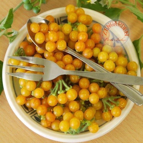 Sarı bezelye domatesi tohumu geleneksel yellow currant tomato