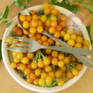 Sarı bezelye domatesi tohumu geleneksel yellow currant tomato