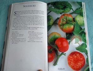 Soldacki domates tohumu geleneksel polland soldacki tomato