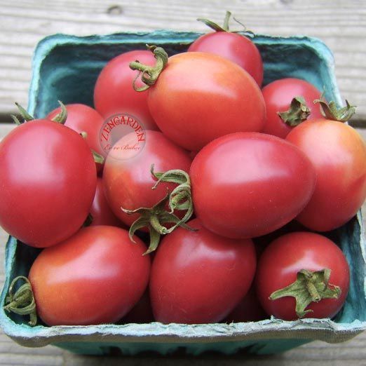 Pembe yumurta domates tohumu geleneksel pink german egg tomato