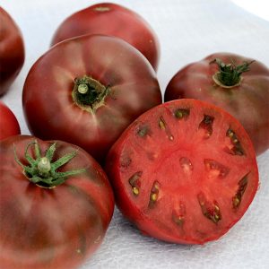 Siyah karbon domates tohumu geleneksel carbon tomato seeds