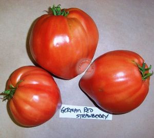 Çilek domates tohumu geleneksel german red strawberry tomato