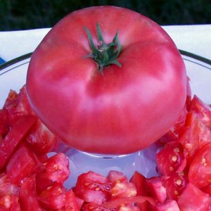 Pembe domates tohumu geleneksel pink brandywine tomato