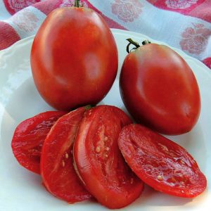 Polonya armut domates tohumu geleneksel polish paste tomato