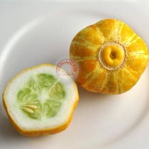 Limon salatalık tohumu atalık cucumber lemon