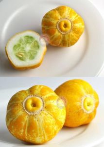 Limon salatalık tohumu atalık cucumber lemon
