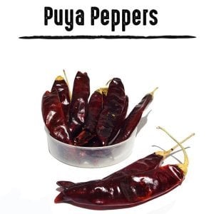 Acı puya chili biber tohumu ciddi acı