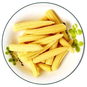 Süt mısır tohumu atalık mini baby corn